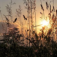 Abendläuten