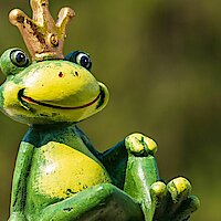 "Der Froschkönig"